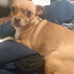 Meet your Posher, Patrick